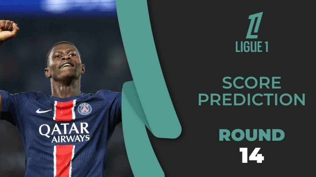 الدوري الفرنسي - الجولة 14